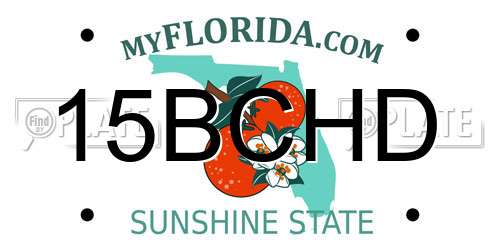 15BCHD Florida License Plate