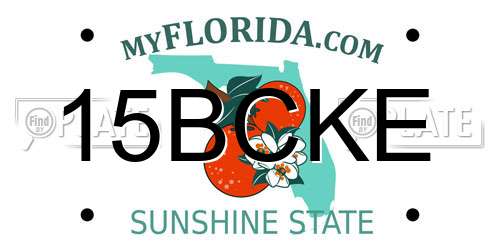 15BCKE Florida License Plate