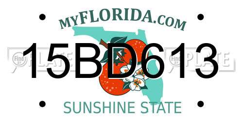 15BD613 Florida License Plate