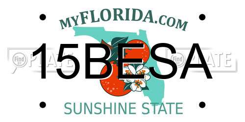 15BESA Florida License Plate