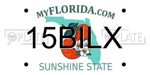 15BILX Florida License Plate