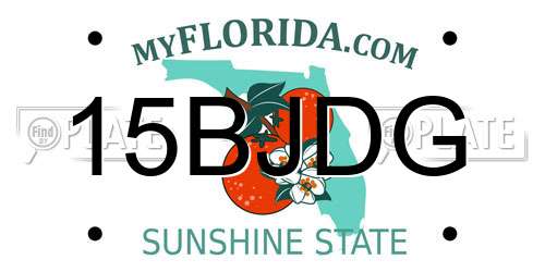 15BJDG Florida License Plate