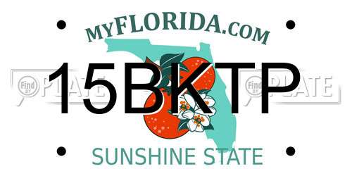 15BKTP Florida License Plate