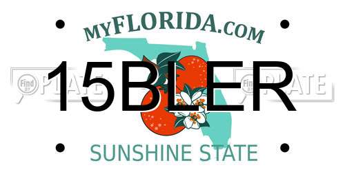 15BLER Florida License Plate