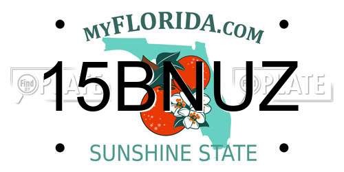 15BNUZ Florida License Plate