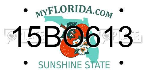 15BO613 Florida License Plate