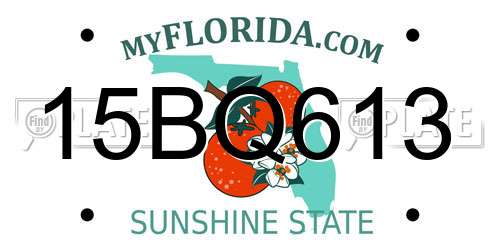 15BQ613 Florida License Plate