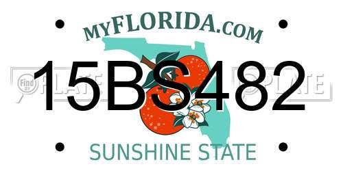 15BS482 Florida License Plate