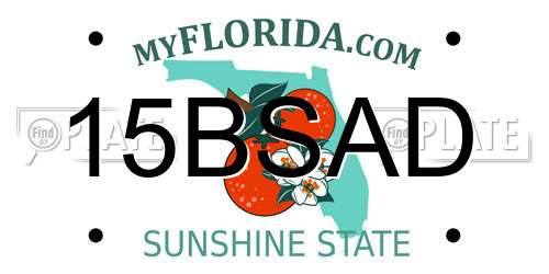15BSAD Florida License Plate