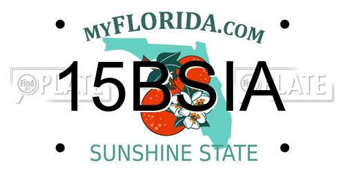 15BSIA Florida License Plate