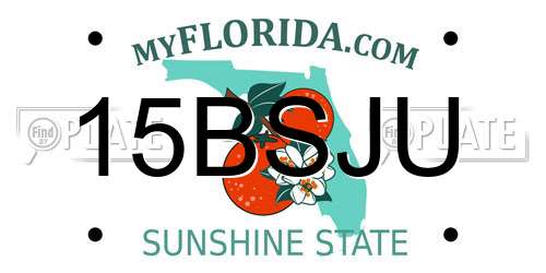 15BSJU Florida License Plate