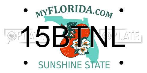 15BTNL Florida License Plate