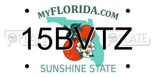 15BVTZ Florida License Plate