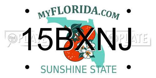 15BXNJ Florida License Plate
