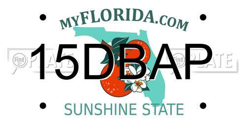 15DBAP Florida License Plate