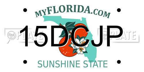 15DCJP Florida License Plate