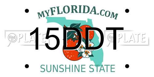 15DDT Florida License Plate