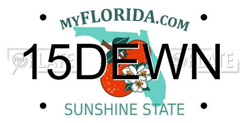 15DEWN Florida License Plate