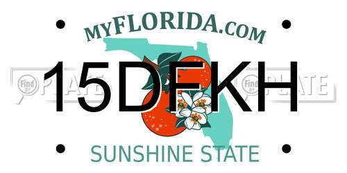 15DFKH Florida License Plate