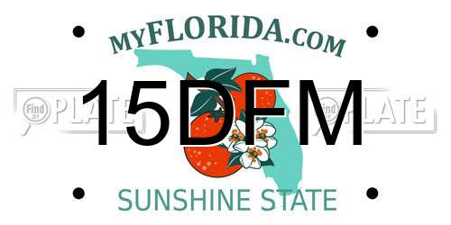 15DFM Florida License Plate