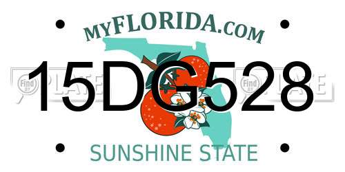 15DG528 Florida License Plate