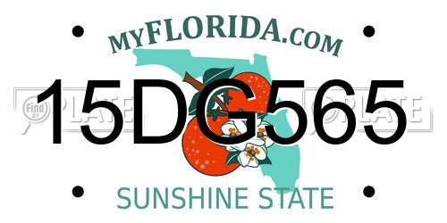 15DG565 Florida License Plate