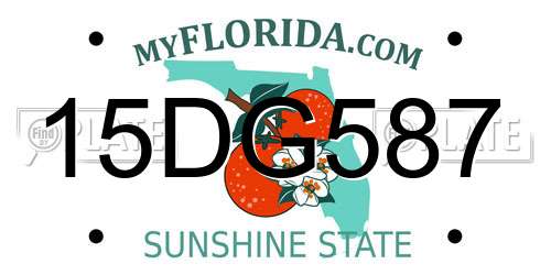 15DG587 Florida License Plate
