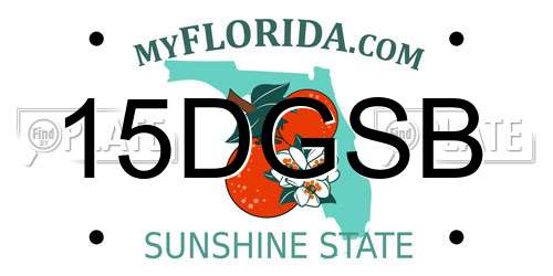 15DGSB Florida License Plate