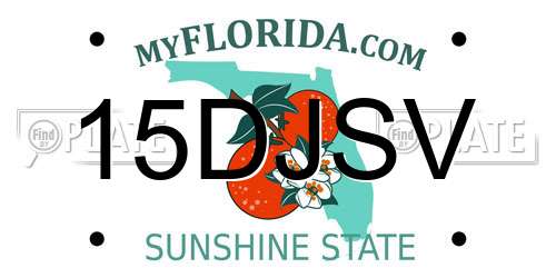 15DJSV Florida License Plate