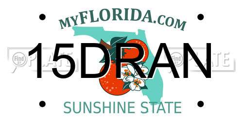 15DRAN Florida License Plate