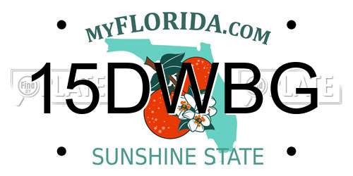 15DWBG Florida License Plate