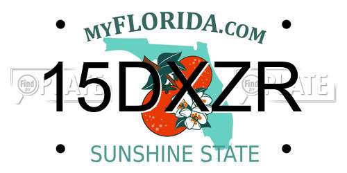 15DXZR Florida License Plate