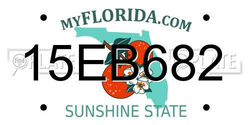 15EB682 Florida License Plate