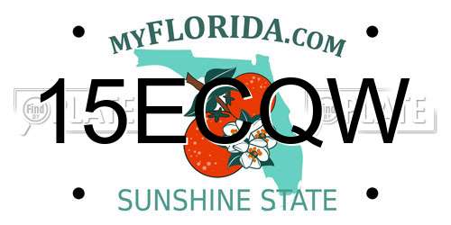 15ECQW Florida License Plate