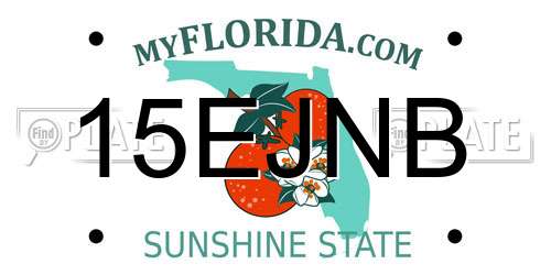 15EJNB Florida License Plate