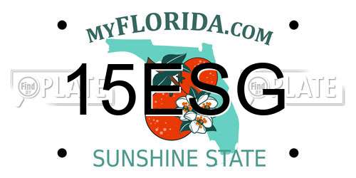 15ESG Florida License Plate