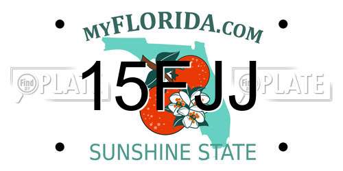 15FJJ Florida License Plate