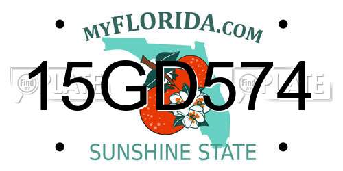 15GD574 Florida License Plate