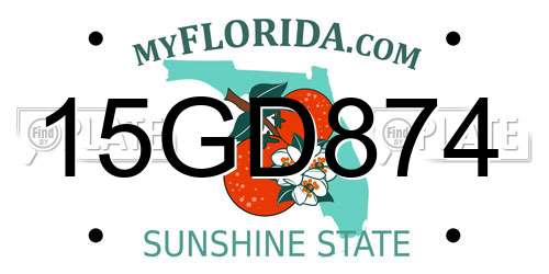 15GD874 Florida License Plate