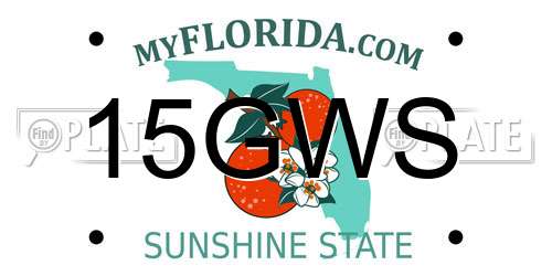 15GWS Florida License Plate