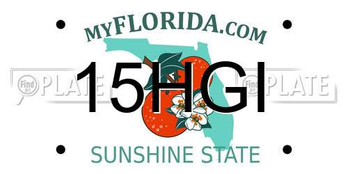 15HGI Florida License Plate