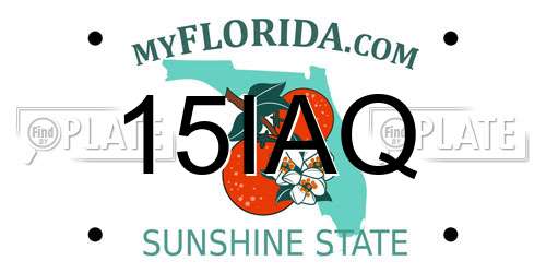 15IAQ Florida License Plate