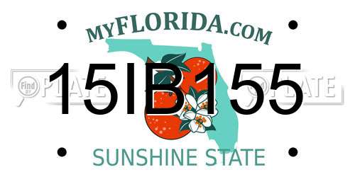 15IB155 Florida License Plate