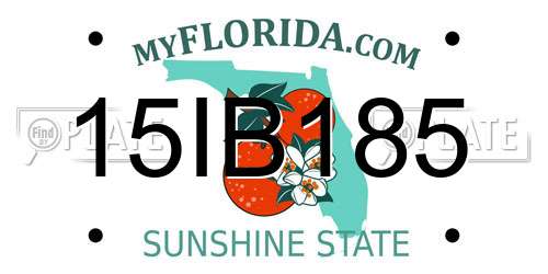 15IB185 Florida License Plate