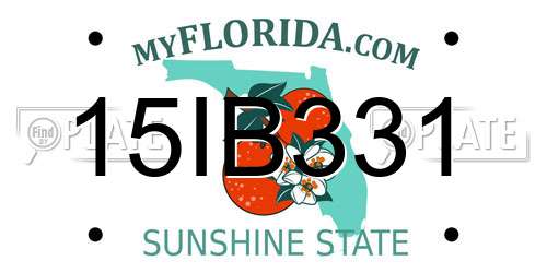 15IB331 Florida License Plate