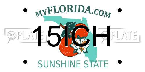 15ICH Florida License Plate