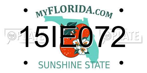 15IE072 Florida License Plate