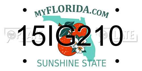 15IG210 Florida License Plate