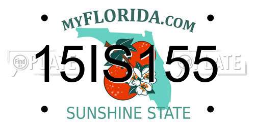 15IS155 Florida License Plate