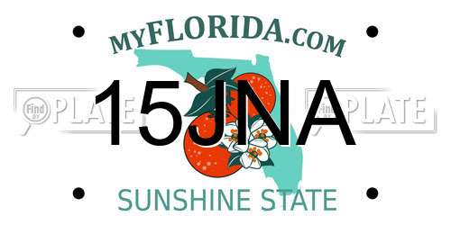 15JNA Florida License Plate